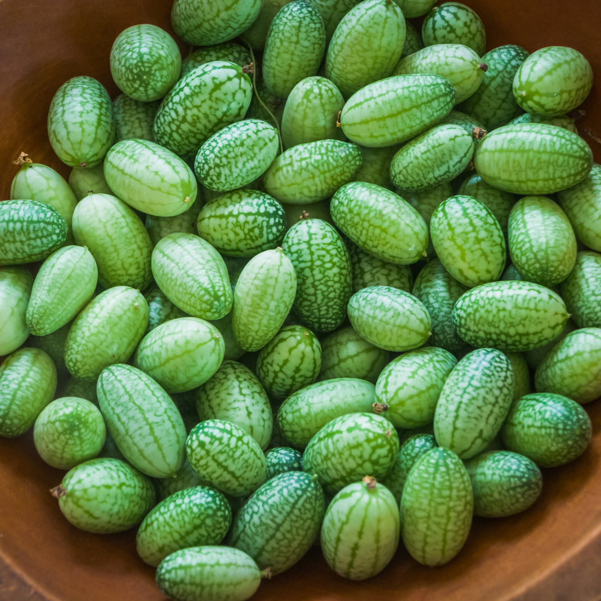 Cucamelon Seeds - Cold Resistant, Potted, 25+ seeds
