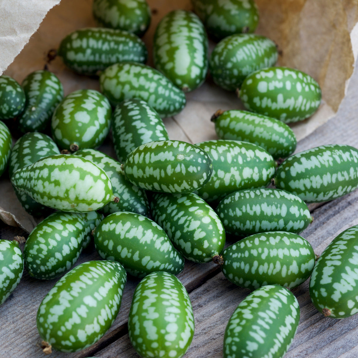 Cucamelon Seeds - Cold Resistant, Potted, 25+ seeds