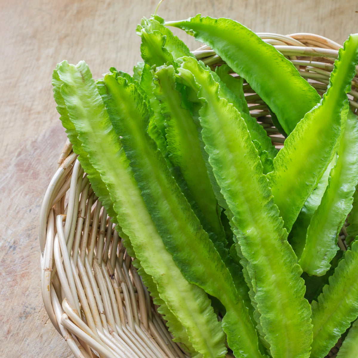 Winged Bean Seeds - Edible, Potted, 10+ seeds