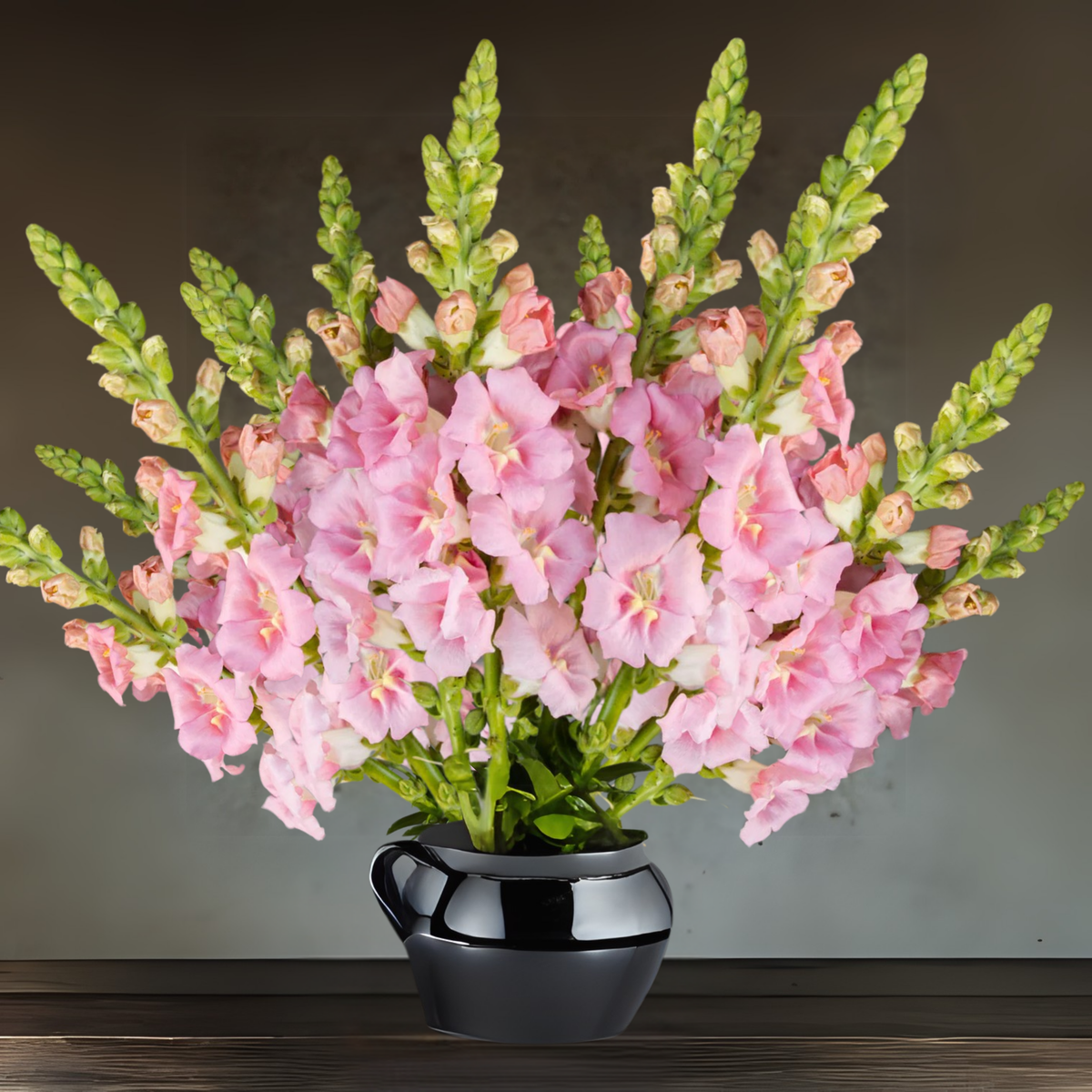 Chantilly Light Pink Snapdragon Seeds - Cold Resistant, 30 seeds