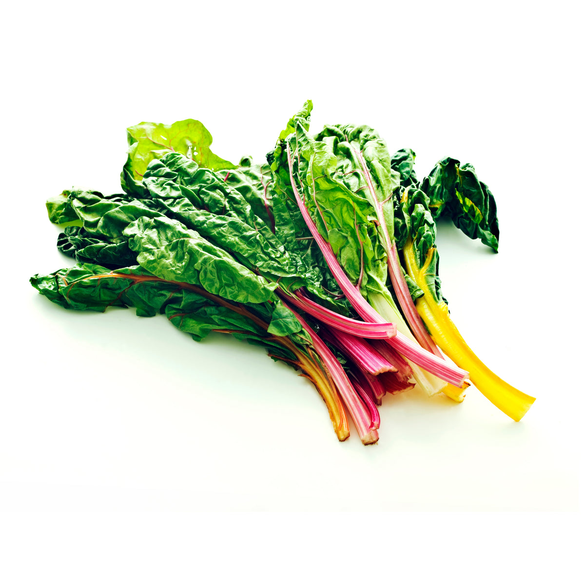 Swiss Chard Seeds - Rainbow Mixture Seeds, Cold Resistant, 25+ seeds