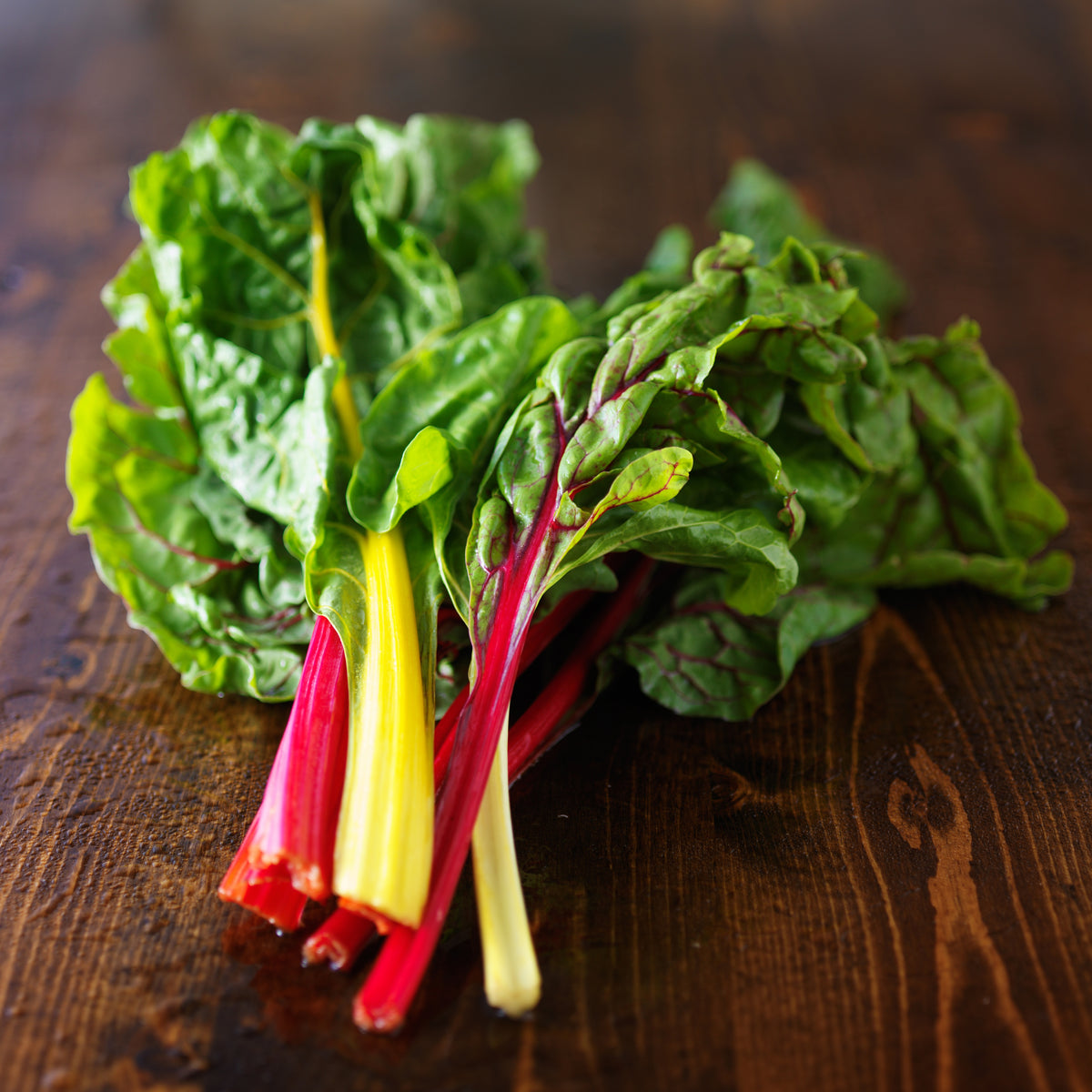 Swiss Chard Seeds - Rainbow Mixture Seeds, Cold Resistant, 25+ seeds