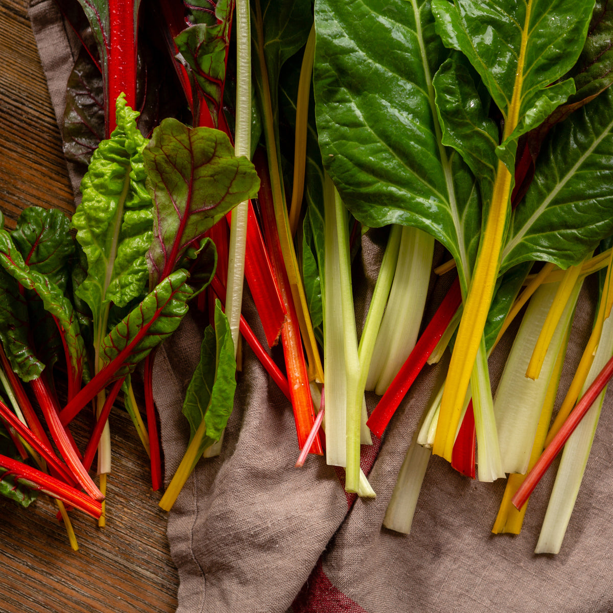 Swiss Chard Seeds - Rainbow Mixture Seeds, Cold Resistant, 25+ seeds