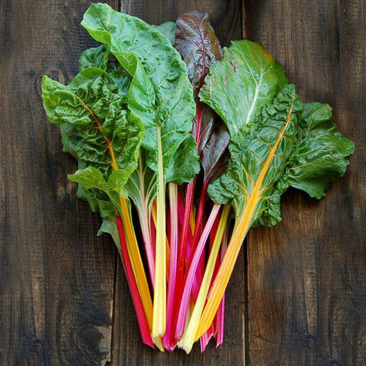 Swiss Chard Seeds - Rainbow Mixture Seeds, Cold Resistant, 25+ seeds