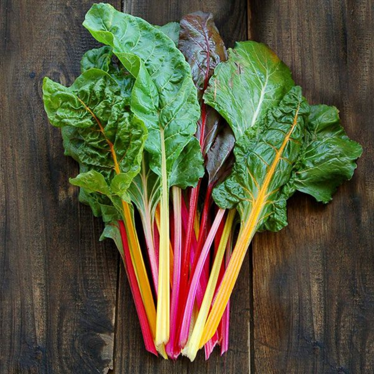 Swiss Chard Seeds - Rainbow Mixture Seeds, Cold Resistant, 25+ seeds