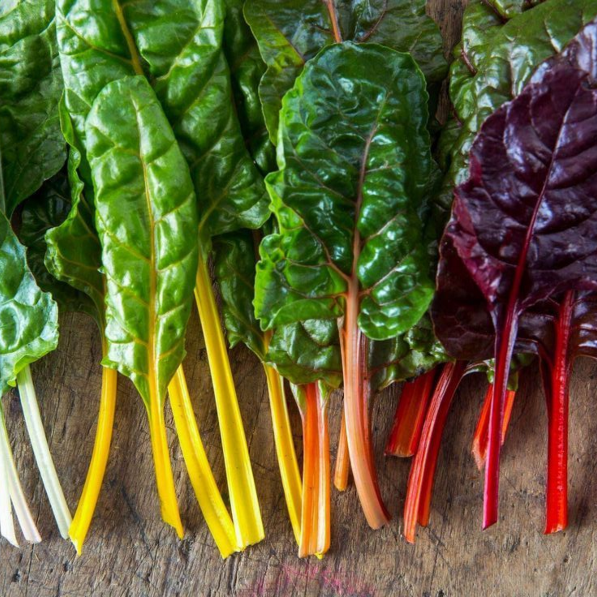 25+ Seeds| Swiss Chard - Rainbow Mixture Seeds - Cold Resistant - Fast Growing - Open-Pollinating - Potted - Plant in Spring/Summer - #75