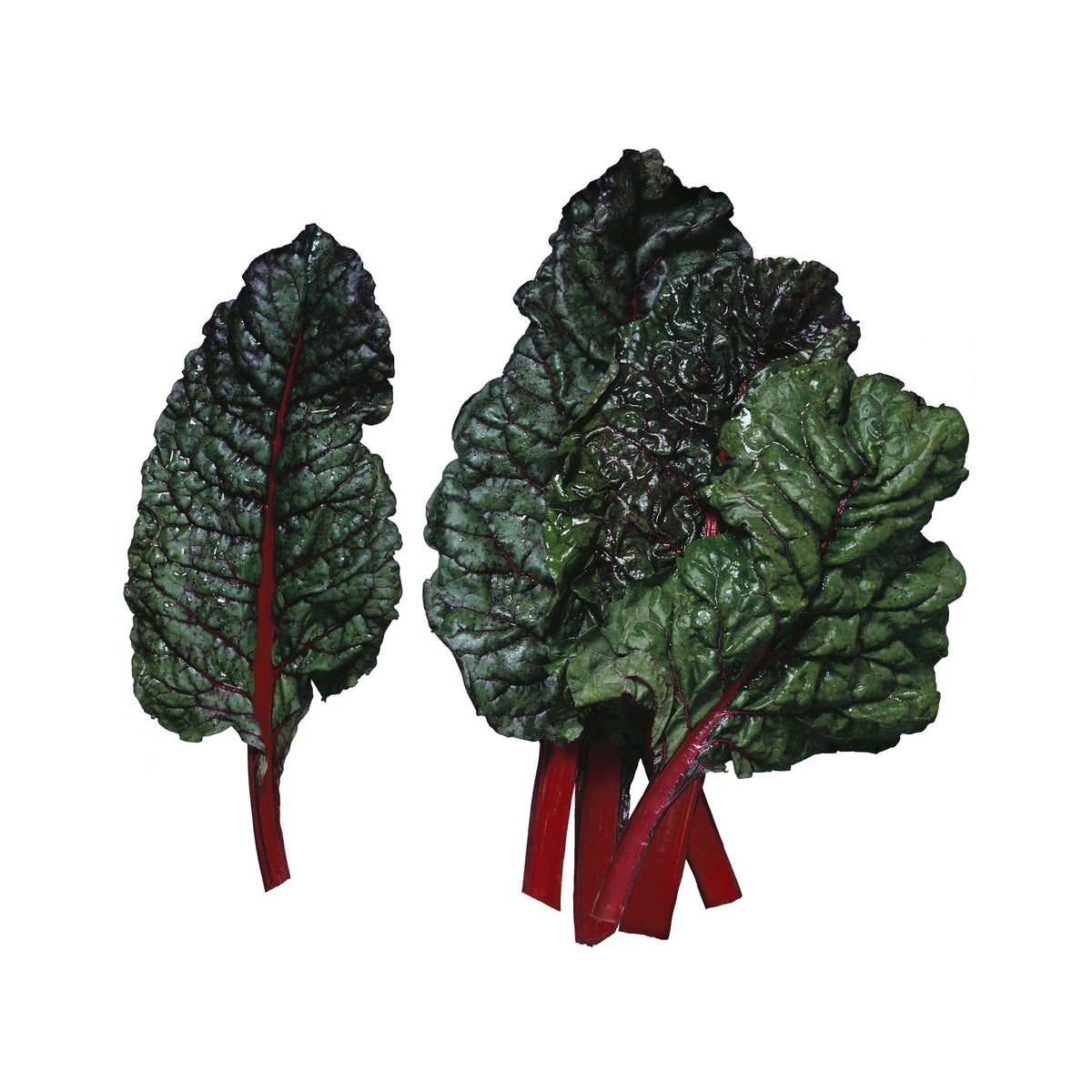 Ruby Red Chard Seeds - Biennial, Cold Resistant, 25+ seeds