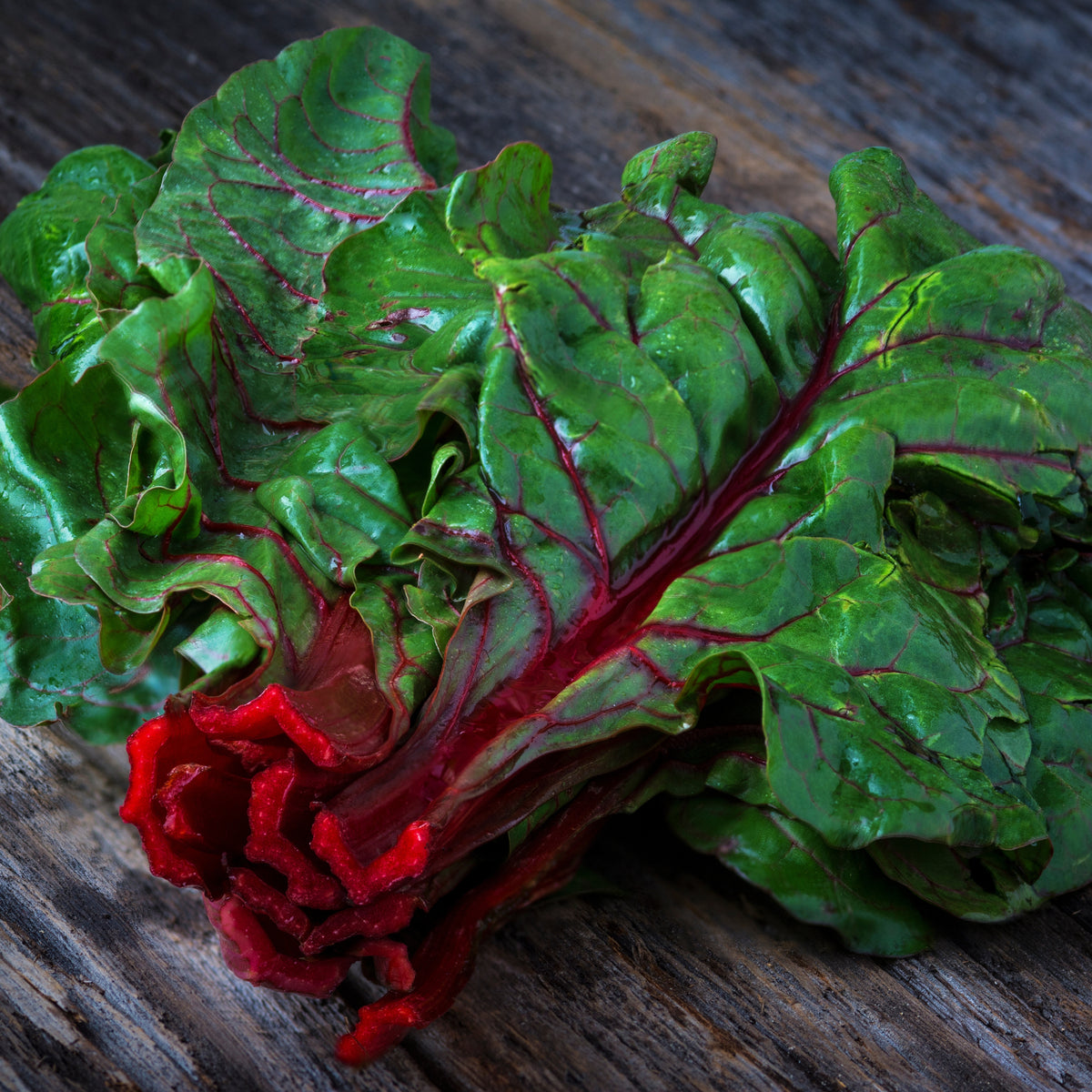 Ruby Red Chard Seeds - Biennial, Cold Resistant, 25+ seeds