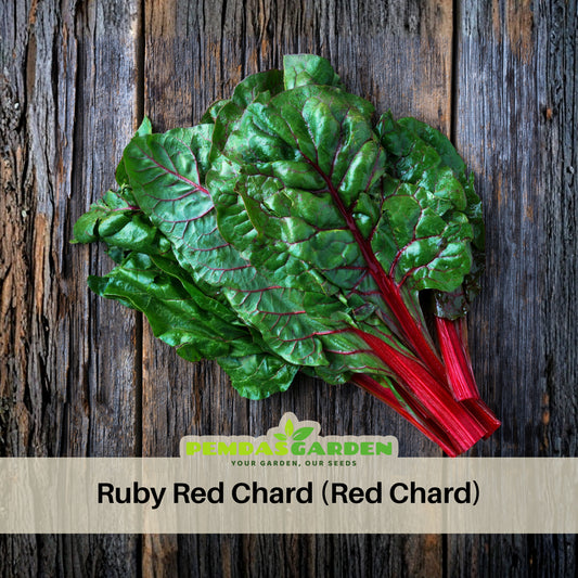 Ruby Red Chard Seeds - Biennial, Cold Resistant, 25+ seeds