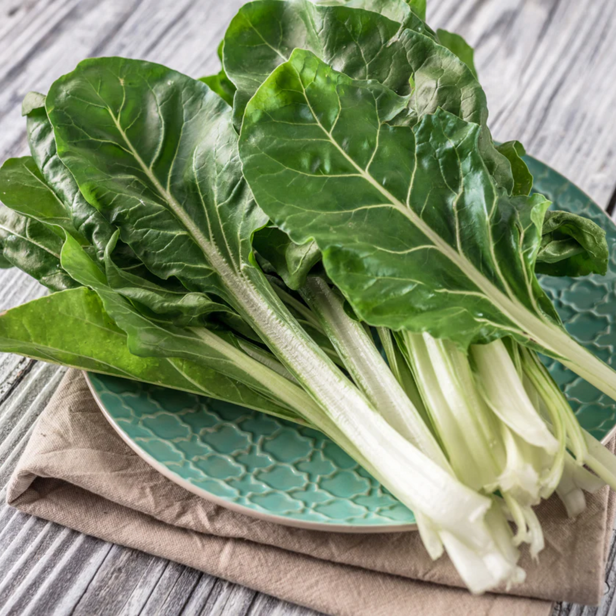 White Chard (Fordhook Giant) Seeds - Cold Resistant, Potted, 25+ seeds