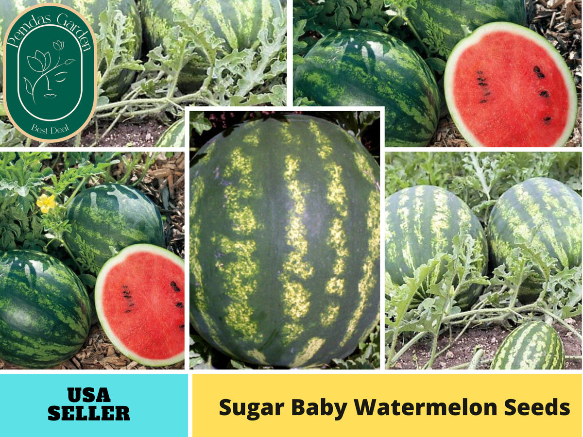 30 seeds| Sugar Baby Watermelon Seeds # 5002