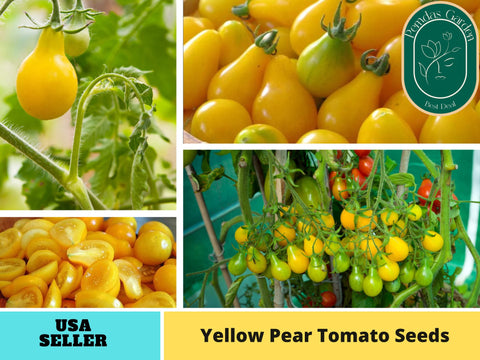60 Seeds| Yellow Pear Tomato Seeds #7011