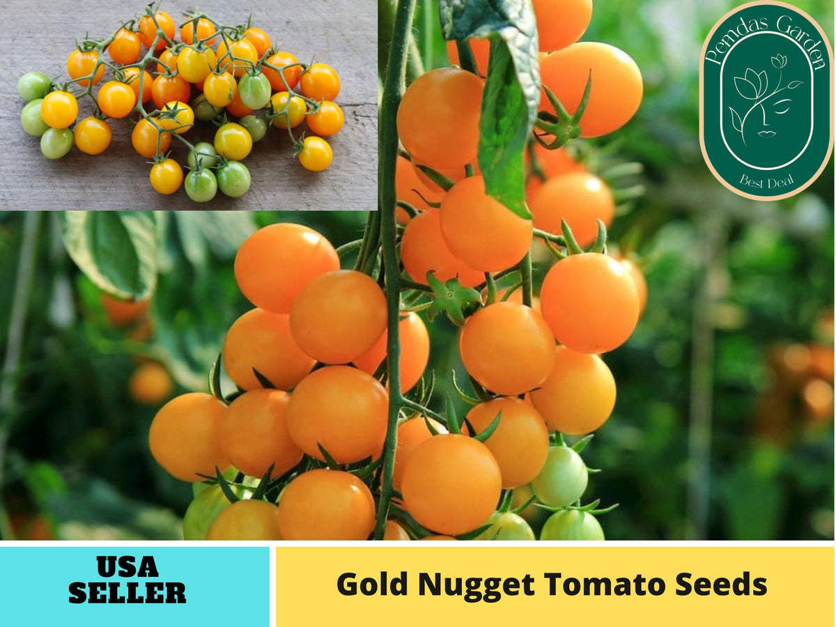 30 Seeds| Gold Nugget Tomato Seeds#7023