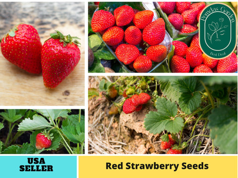 110 seeds| Red Strawberry Seeds- #5006