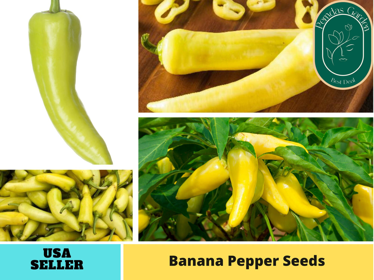 30 Seeds| Banana Pepper Seeds#7027