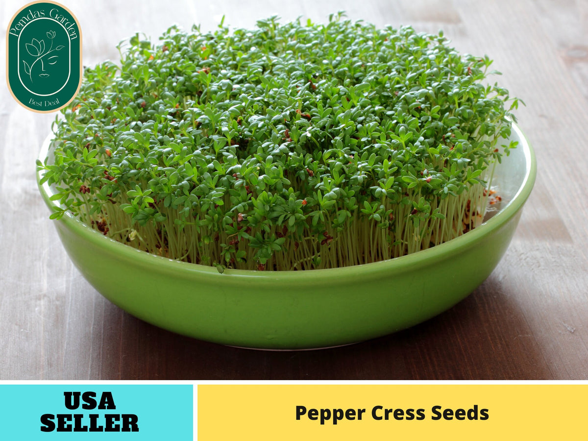 505 Seeds| Cress, Pepper Seeds#6023