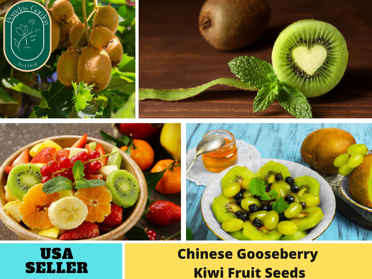 105 Seeds| Kiwi Fruit Chinese Gooseberry Seeds-#6033