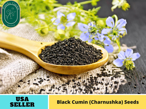 55 Seeds| Black (Charnushska) Cumin Herbs Seeds#6029