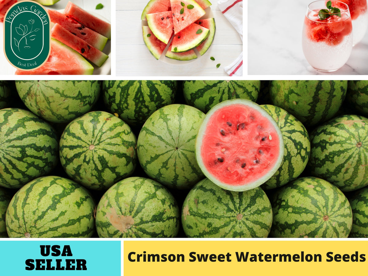 25 Seeds| Crimson Sweet Watermelon Seeds