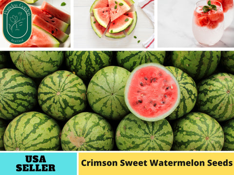 25 Seeds| Crimson Sweet Watermelon Seeds #6031