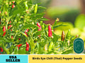 35 Seeds| Bird's Eye Chili Peppers (Thai) Seeds#6039
