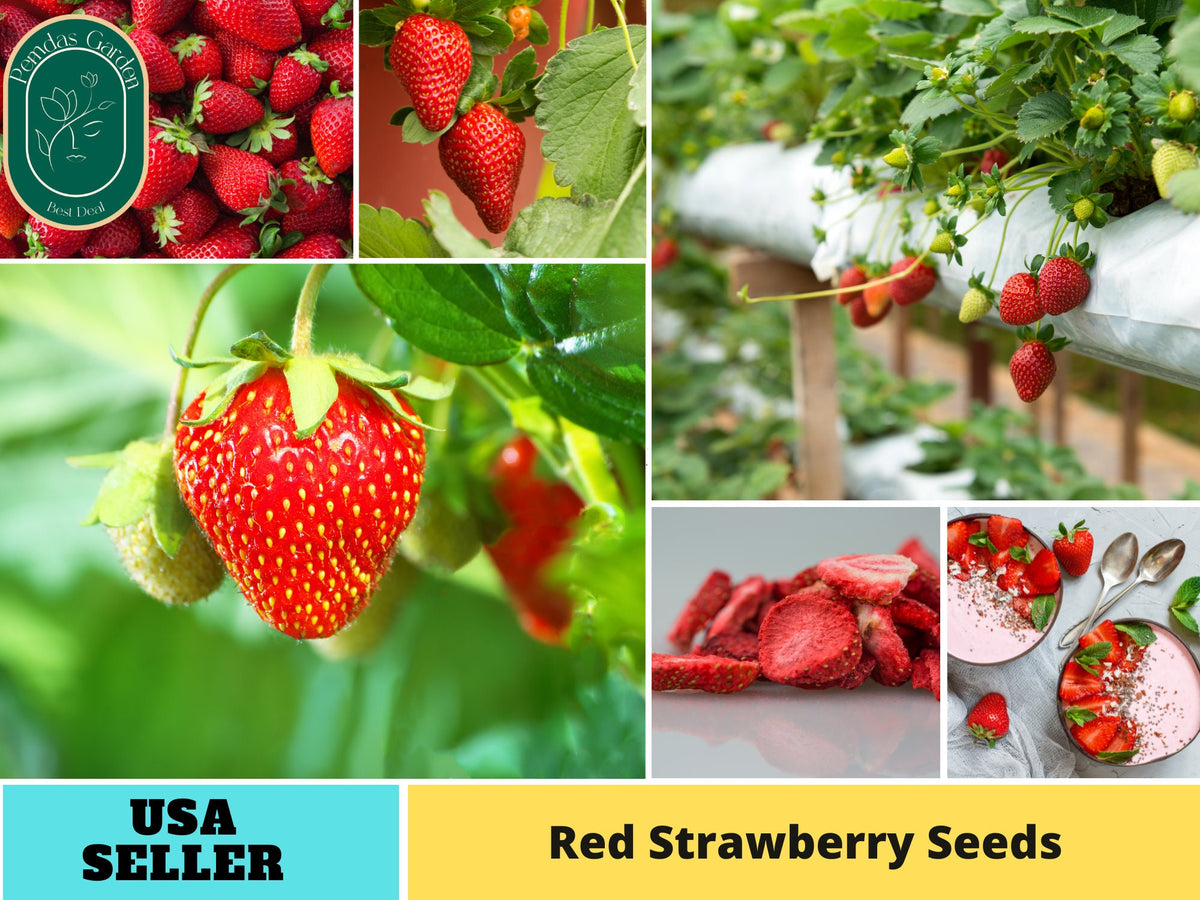 110 seeds| Red Strawberry Seeds - #5006